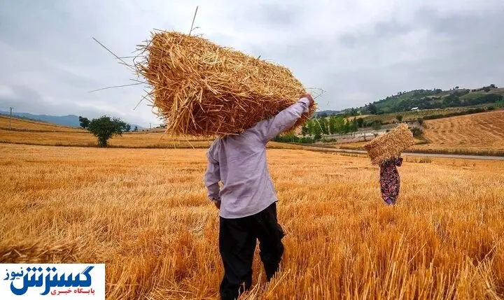 دولت برای پرداخت مطالبات این افراد دست به کار شد