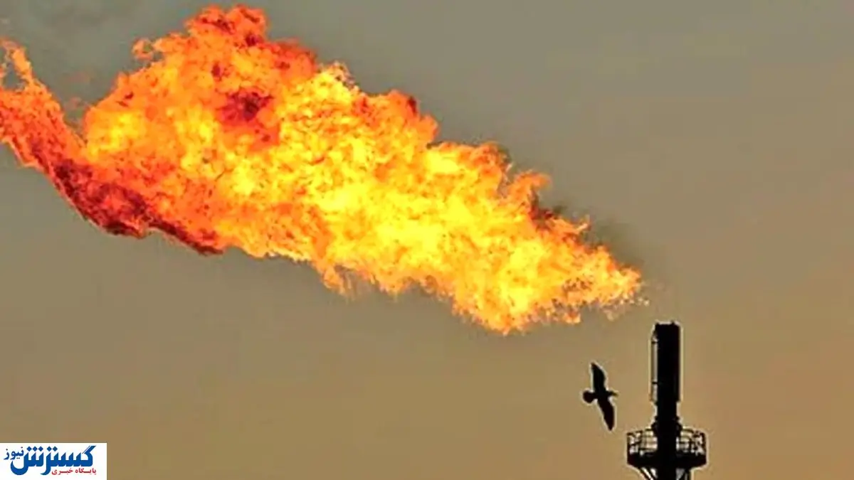 سرمایه گرانبهای ایران که دود شد !