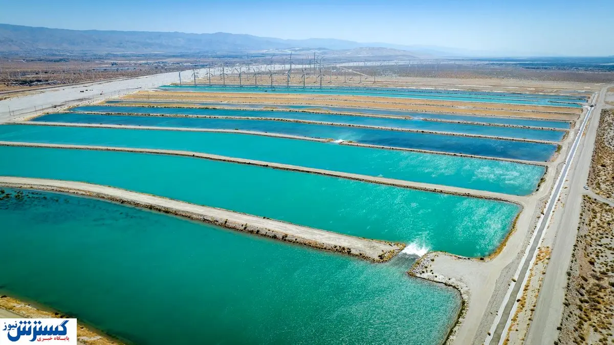 شوک خبری؛ آب ایران در هندوانهها به کشورهای عربی صادر میشود