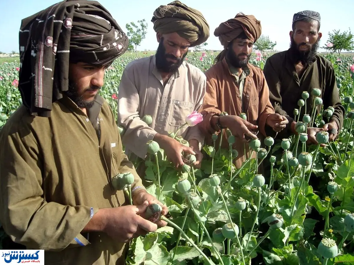 اخراج افغانها برای ایران شر شد !