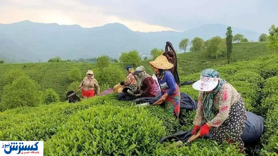 دولت به وعدهاش عمل کرد | مطالبات پرداخت شد