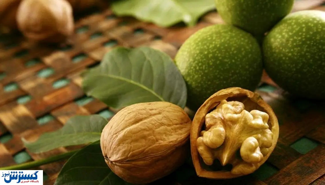 هشدار ؛ خرید و فروش این آجیل ممنوع اعلام شد