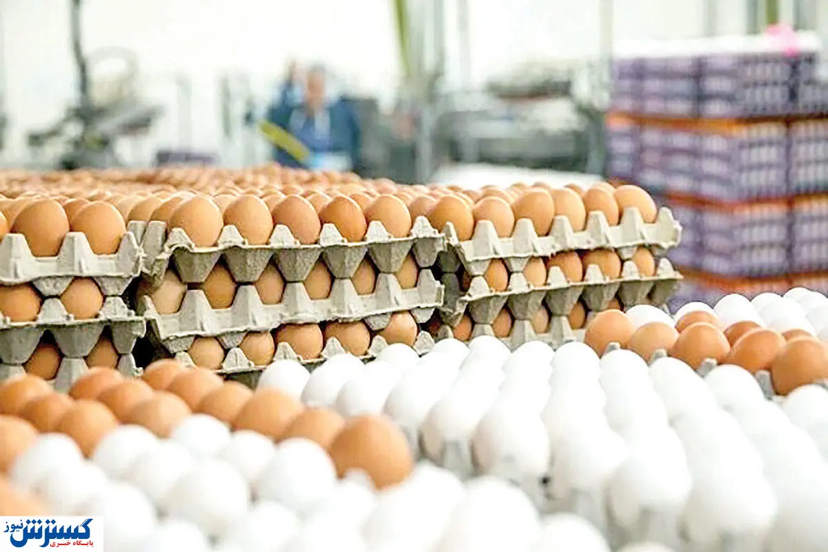 گوشت و تخممرغ ارزان شد ، روغن و شکر سهیهبندی !