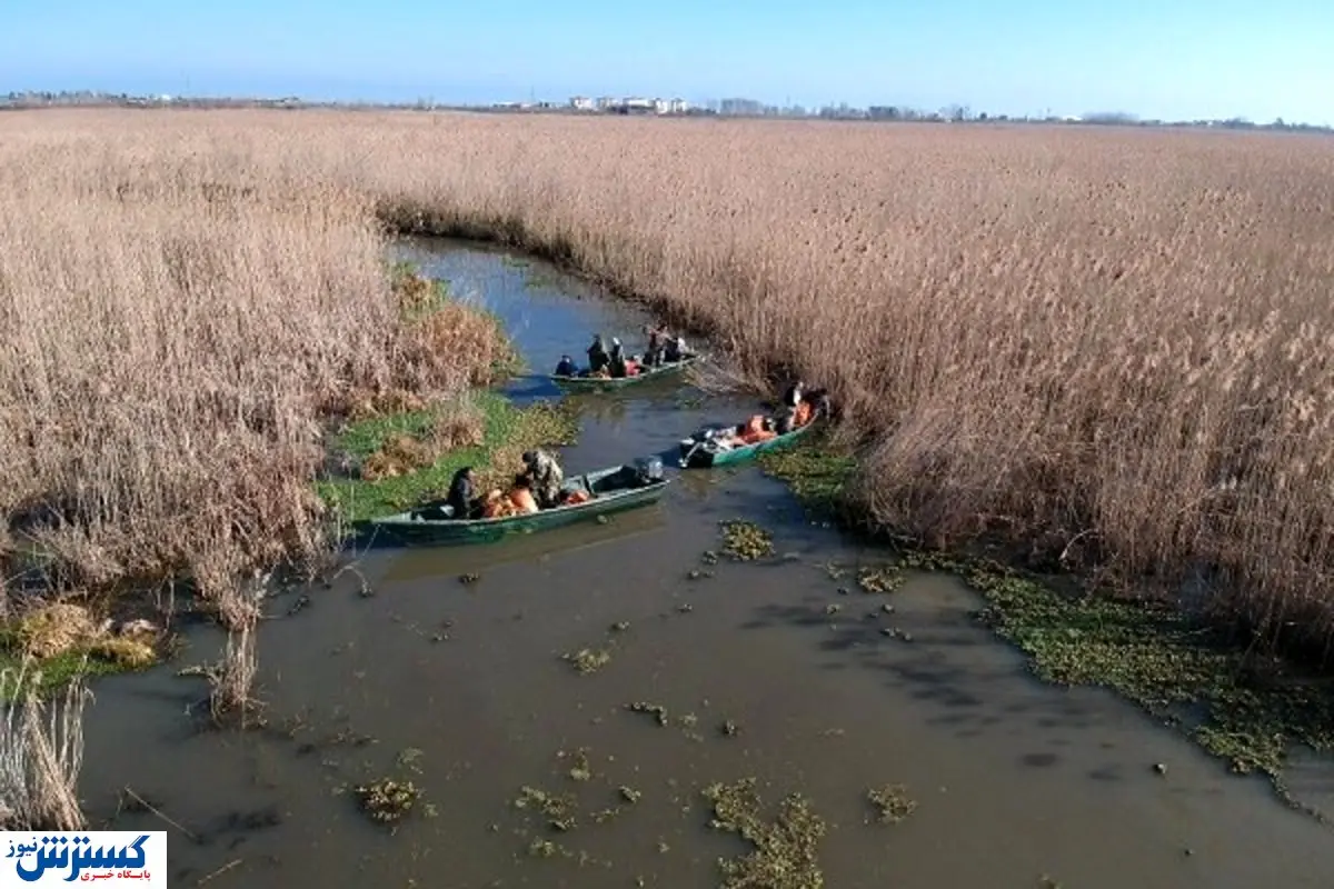 گنجینههای فیروزهای کشور از دست رفتند