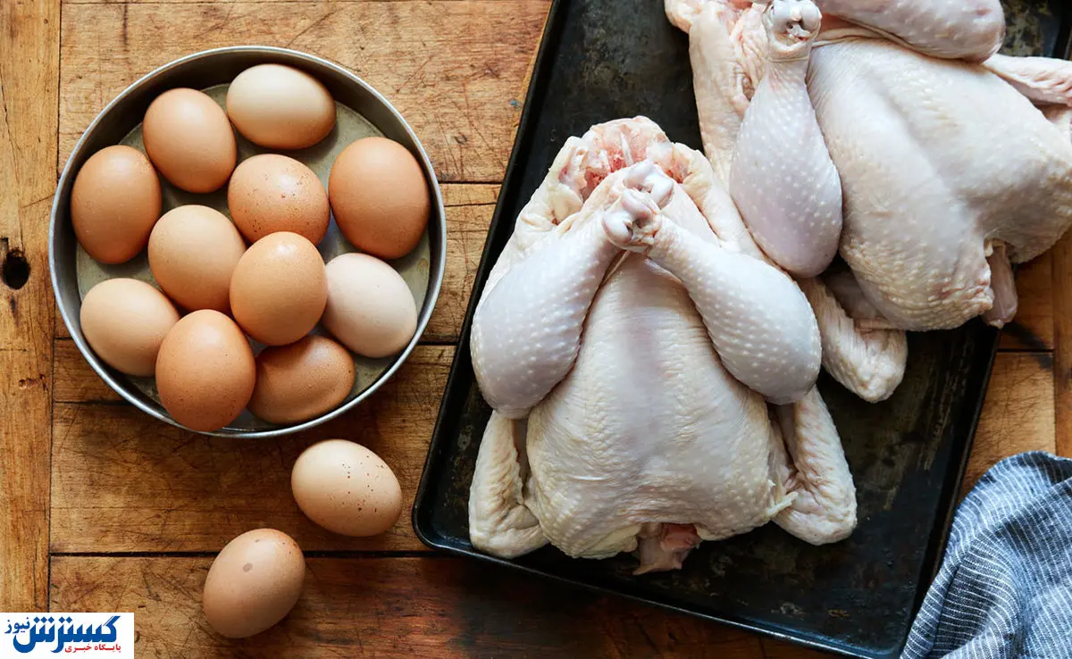 کشتار مرغ های تخم گذار به علت قیمت ارزان تخم مرغ!