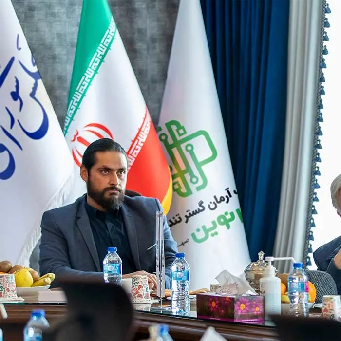 ورود هانی گلشنی به ساختار تصمیم‌گیری اقتصادی مجلس