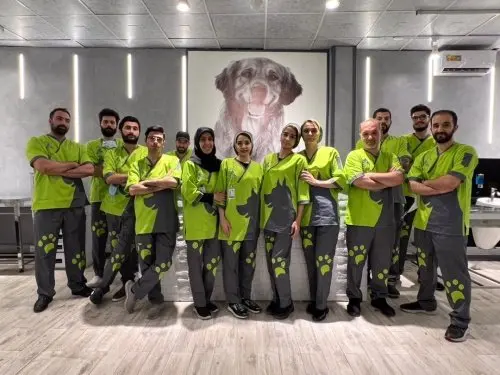 دامپزشکی های معروف تهران کدامند؟