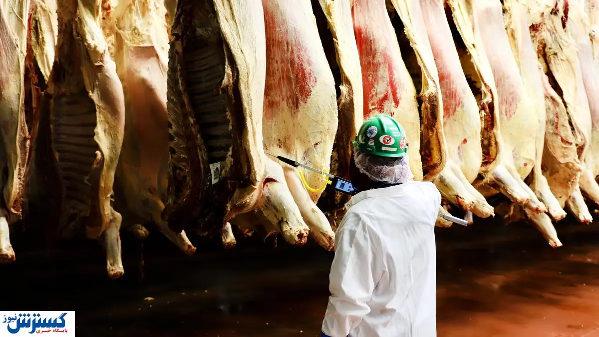 منتظر کاهش قیمت گوشت باشید؛ سیگنال مثبت بازار به مردم