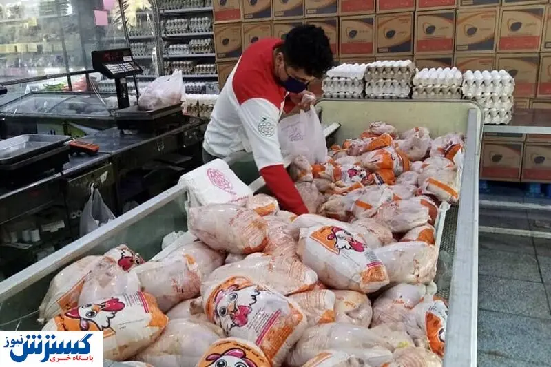 هجوم مردم برای خرید مرغ  تنظیم بازاری | هر کیلو چند ؟