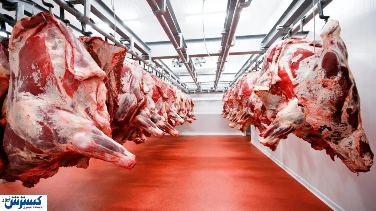 وضعیت واردات گوشت به ایران روشن شد