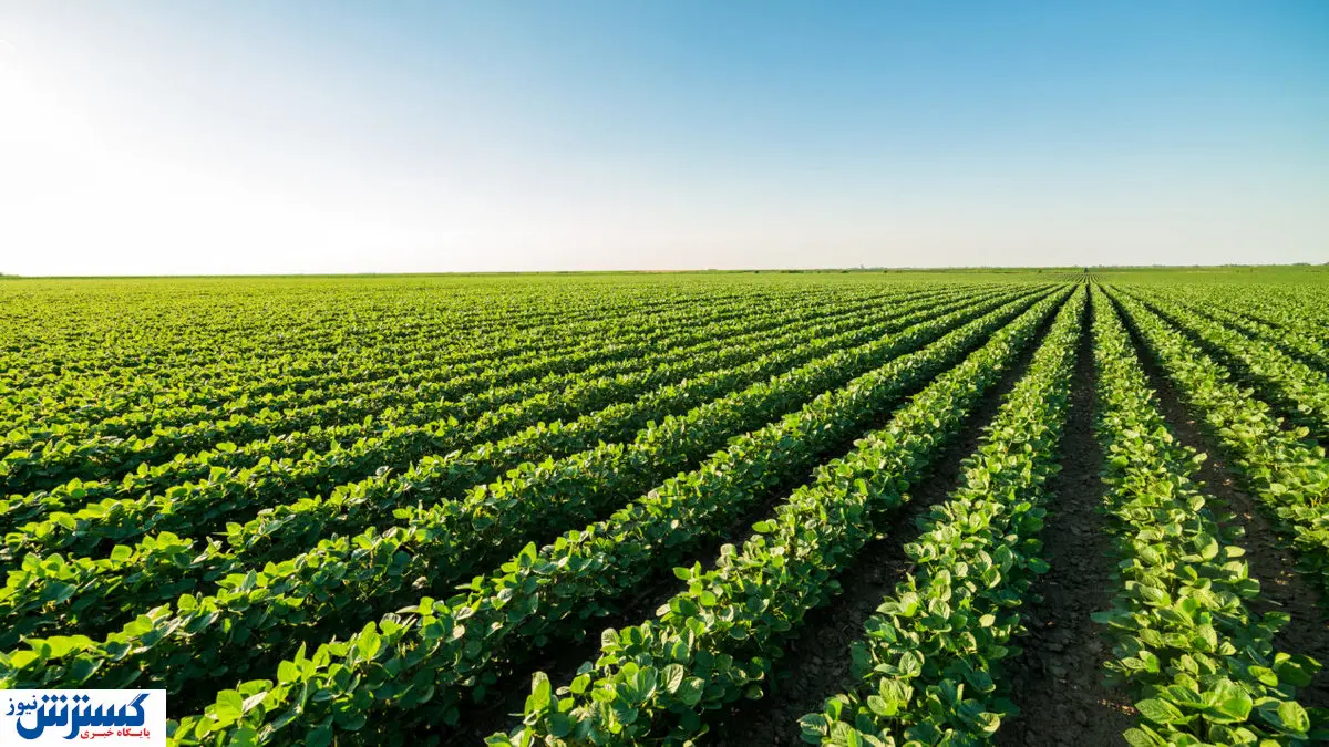 هزینه های سرسام آور انرژی نفس کشاورزان را برید