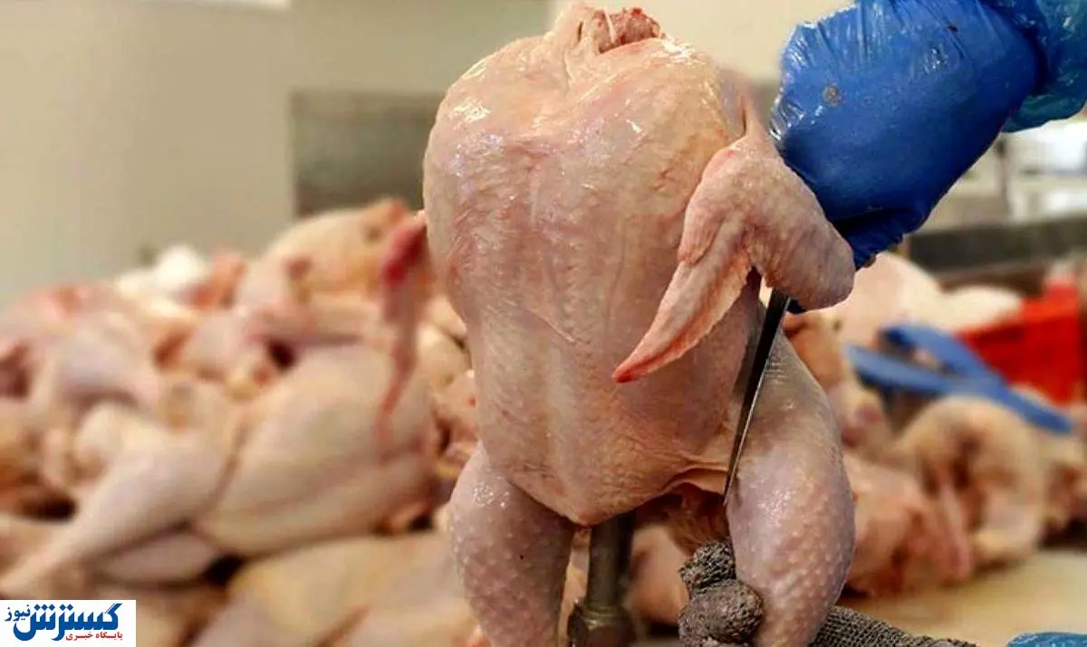 فیله، سینه، ران؛ همه قیمت‌ها یکجا اعلام شد + جدول