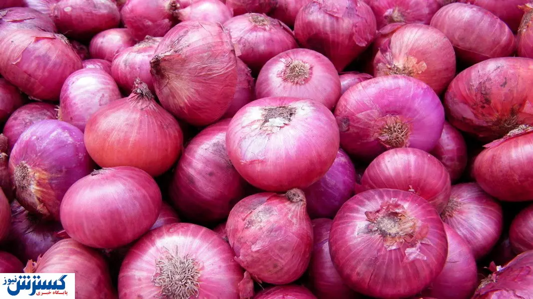 یک تازه وارد در بورس | پیاز در کشور فاجعه شد !