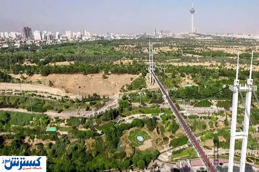 درختان پارک پردیسان قربانی پروژه جدید دولت شد