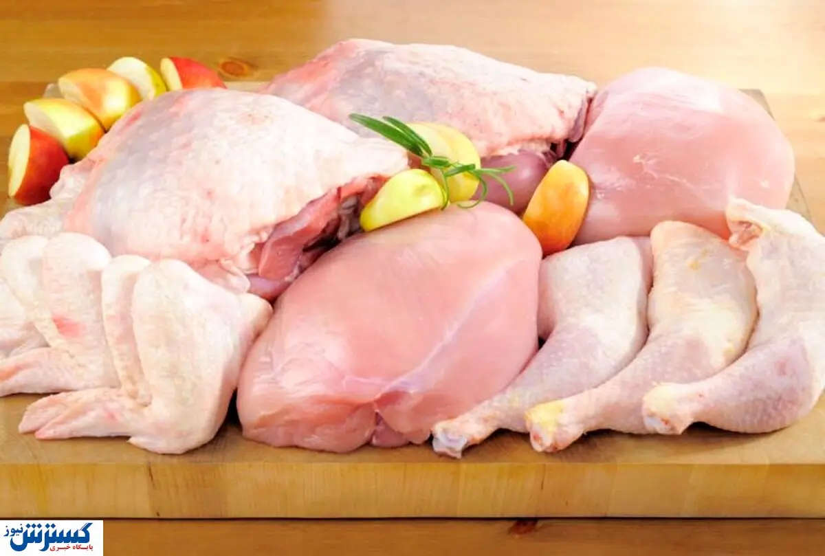 جواب قطعی ایران به عراق درباره مرغ های آلوده