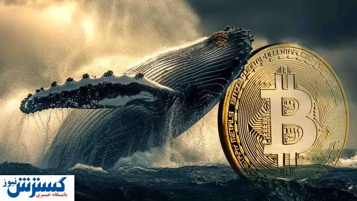 طلای دیجیتال در اوج ؛ نهنگها دوباره وارد گود شدند !