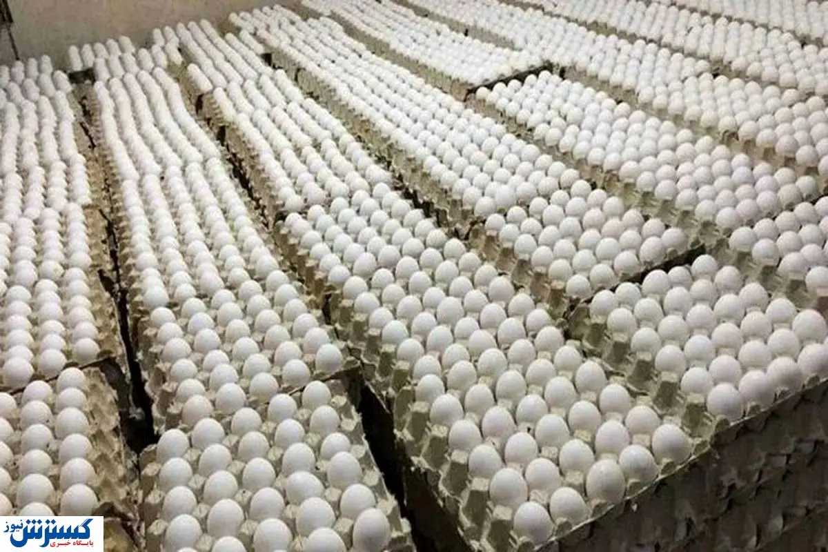 فشار تازه به جیب مردم ؛ بدنسازان بیچاره شدند !