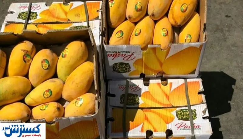 خبر خوش درباره واردات میوه به ایران