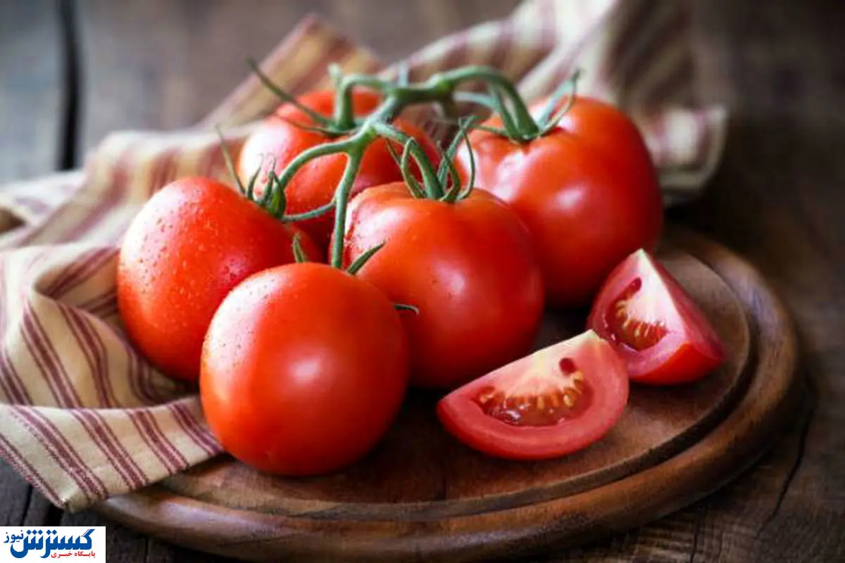 گوجه کمیاب و گران شد