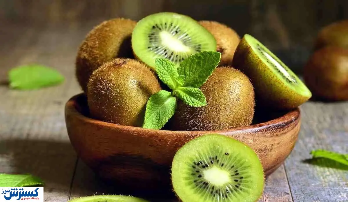 صادرات میوه از ایران به هند قطعی شد