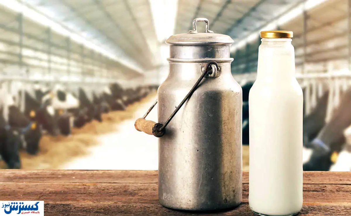 خبر رسمی درباره قیمت شیر خام اعلام شد (۲۷ آبان)