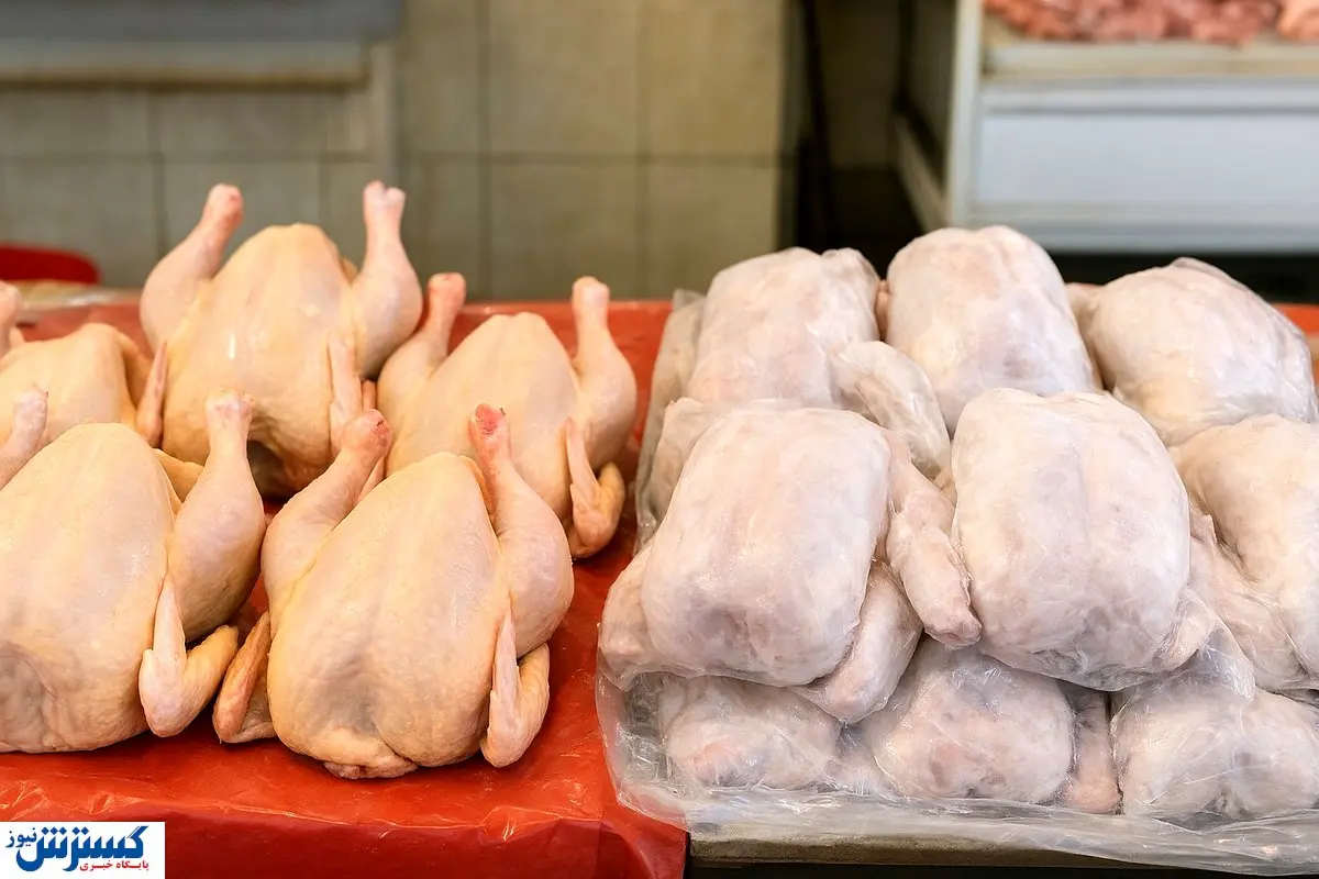 خبر خوب درباره مرغ در بازار ایران اعلام شد