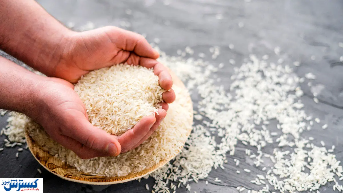 خبر رسمی درباره قیمت و عرضه برنج اعلام شد
