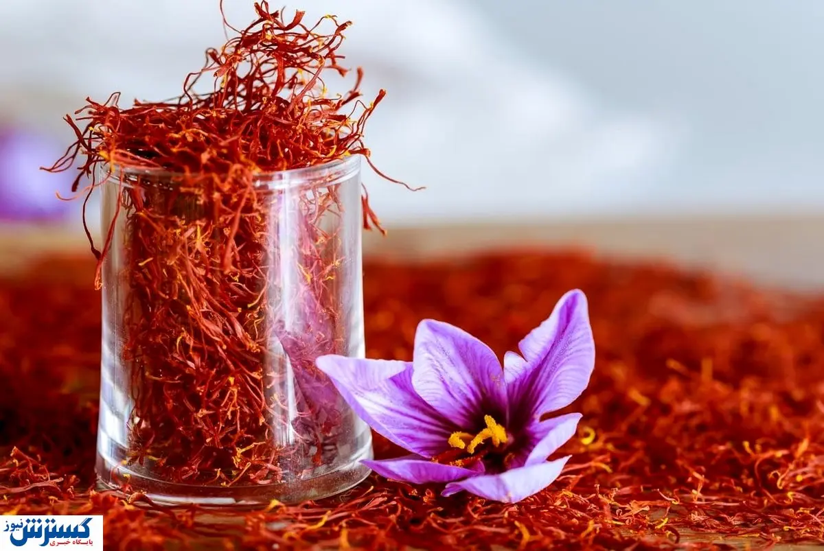 زعفران در بورس کالا پرطرفدار شد