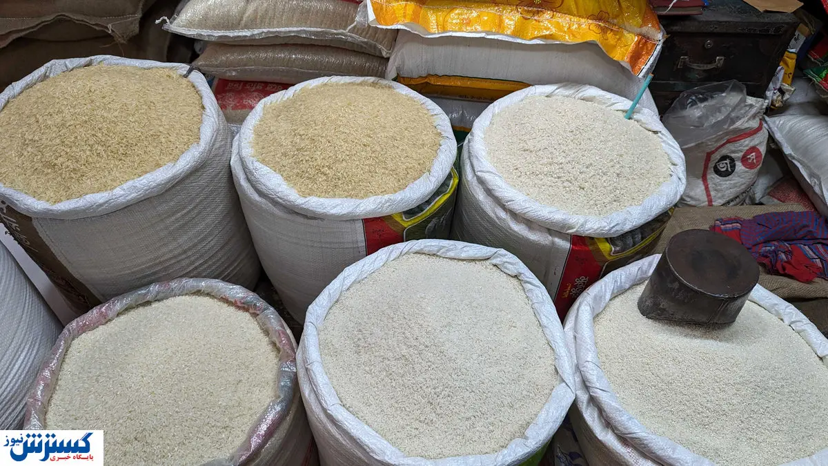 برنج رسماً از سفره مردم پَر کشید (۸ آبان ۱۴۰۴)