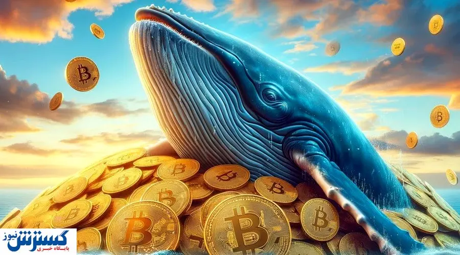 بیت‌کوین نهنگ‌ها به تازه‌واردها رسید | بازار آماده انفجار قیمت است