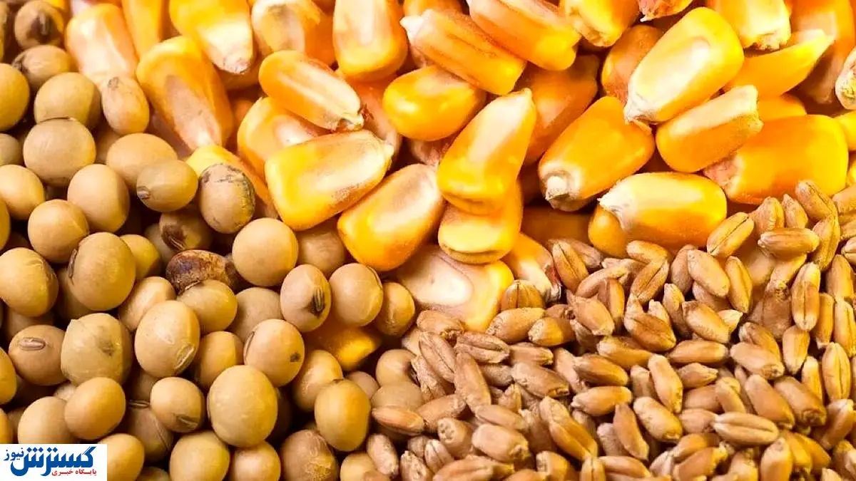 قیمت خرید تضمینی جو و ذرت رسماً اعلام شد