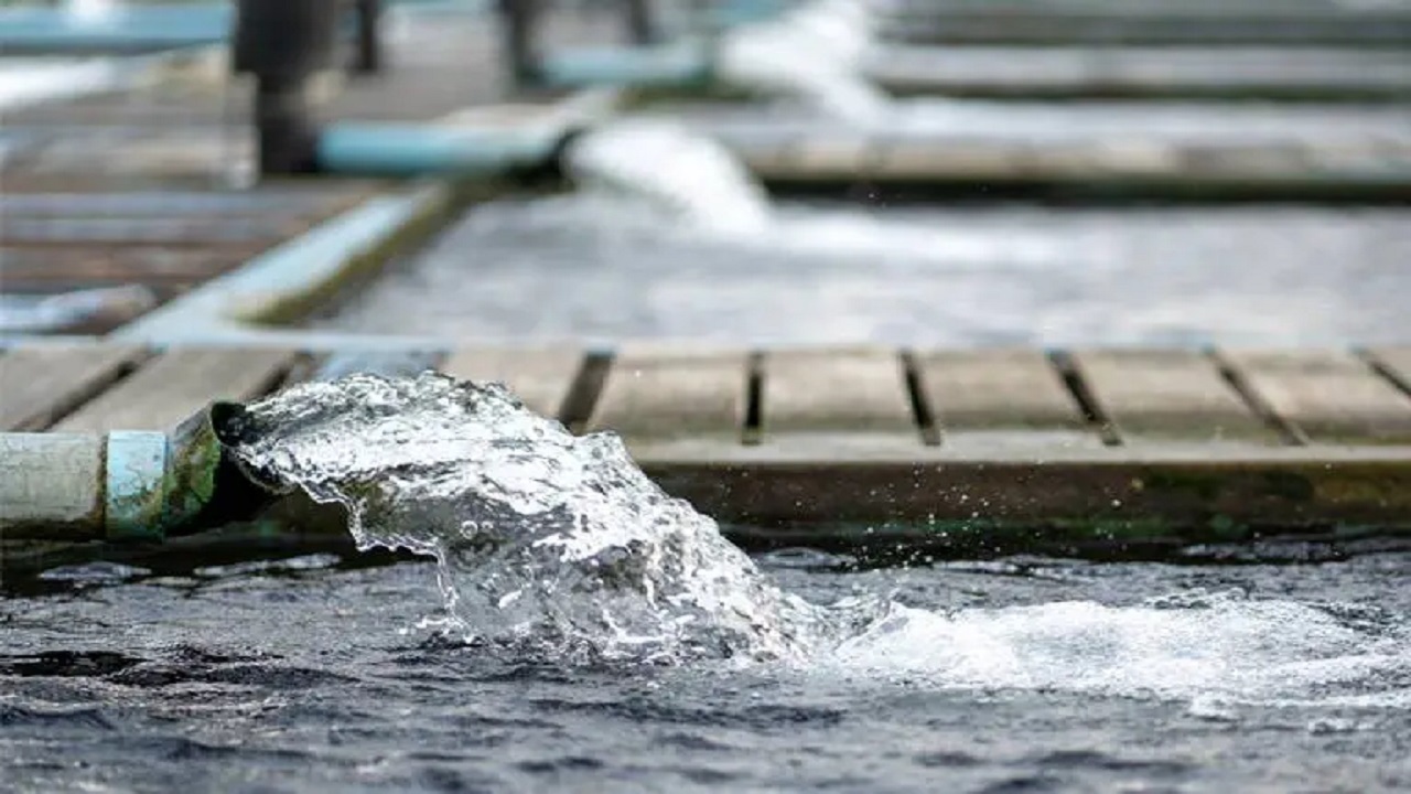 طلای جدید بازار معرفی شد ؛ پایان انحصار آبی دولت فرارسید ؟ طلای جدید بازار معرفی شد ؛ پایان انحصار آبی دولت فرارسید ؟