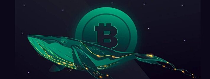 سود میلیونی به جیب نهنگ‌ها رفت ؛ سرمایه‌گذاران جدید قربانی شدند