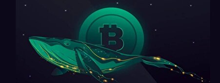 سود میلیونی به جیب نهنگ‌ها رفت ؛ سرمایه‌گذاران جدید قربانی شدند