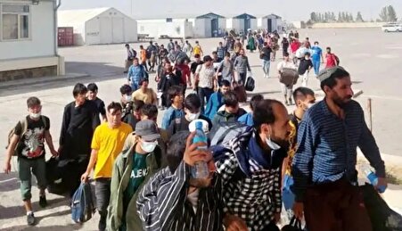 لطف کارگران ایرانی به نیروی کار بیگانه؛ این مشاغل سهم اتباع شد