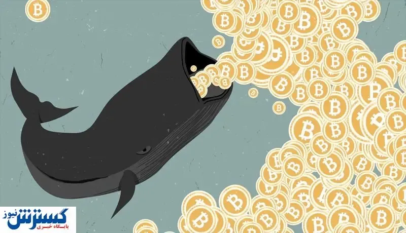 نهنگ خفته بیت کوین بیدار شد / بازار صعودی می شود؟