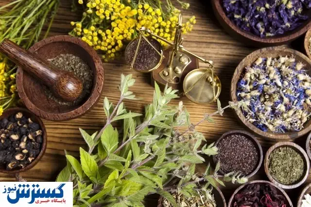 این داروهای گیاهی میلیونی به فروش می روند!