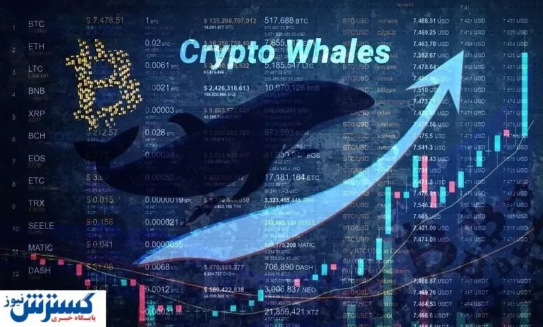بازار ارزهای دیجیتال در روزهای پایانی سال / علاقه شدید نهنگ ها به این رمز ارزها