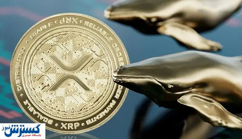 اتفاق عجیب در بازار ارزهای دیجیتال / ۹۰۰ میلیون ریپل جابه‌جا شد!