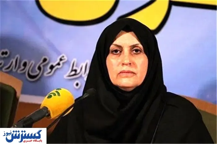 درخواست رییس سازمان استاندارد از خودروسازان