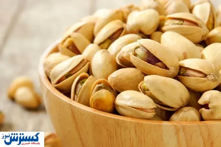 صادرات ۹۵ میلیون یورویی پسته ایران به اروپا