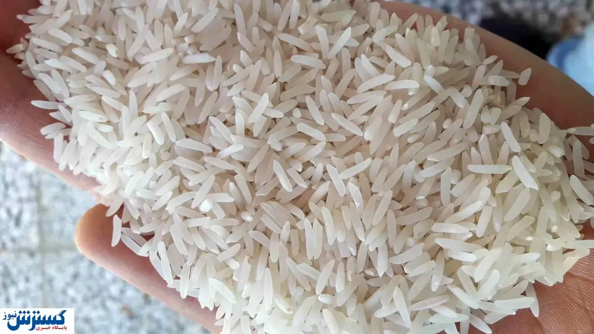 موجودی برنج خارجی به صفر رسید!