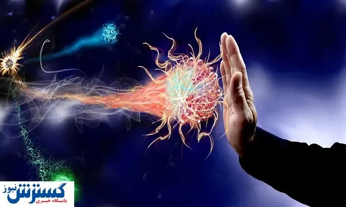 چگونه از پیر شدن سیستم ایمنی جلوگیری کنیم؟