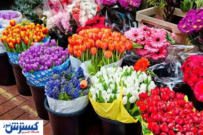 خرید گل چقدر آب می خورد؟