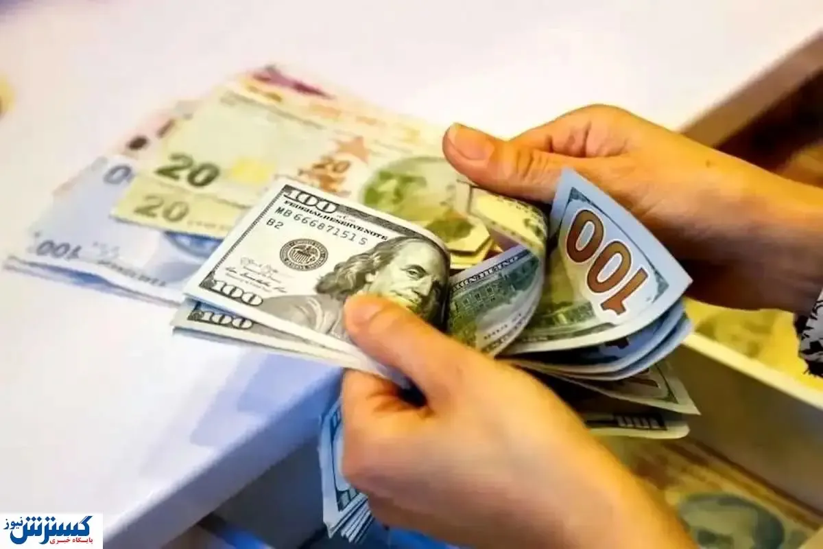 ترمز دلار کشیده شد | نرخ دلار و انواع ارز دربازار آزاد ( ۲ مرداد)