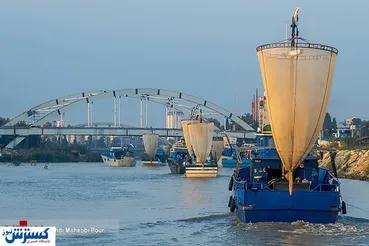 تصاویر/ صید دوباره پس از وقفه سه ماهه