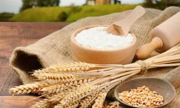 قیمت درخواستی گندمکاران برای خرید تضمینی گندم اعلام شد