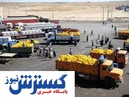 صادرات ۶ میلیون تن محصول کشاورزی در ۹ ماه امسال