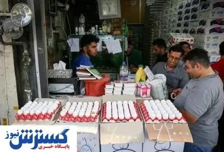 رشد چشمگیر قیمت تخم مرغ در بازار + جزییات