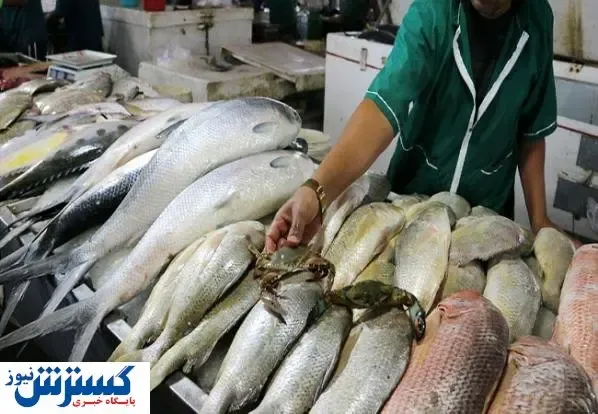 قیمت روز میگو و ماهی در بازار (۹۹/۱۱/۰۶) + جدول